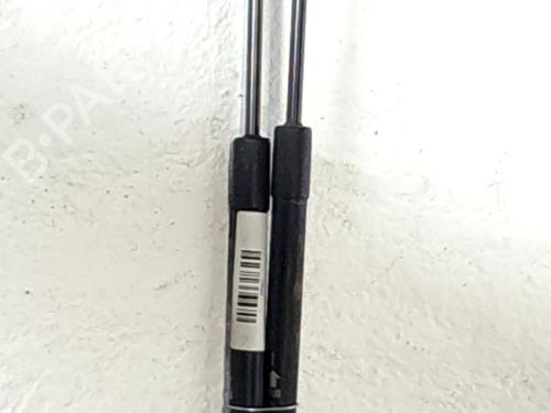 Used Tailgate lift support CHEVROLET CAPTIVA (C100, C140) 2.0 D 4WD (150 hp) 31701281