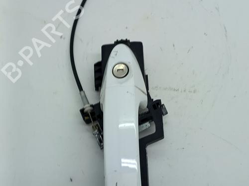 Maniglia esterna anteriore sinistra FORD FIESTA VI Van 1.25 (82 hp) 31262392