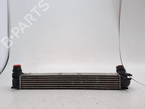 Intercooler RENAULT MEGANE II Saloon (LM0/1_) 1.5 dCi (LM0F, LM0T, LM2B) | BP28037274M30 