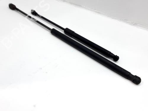 tailgate-lift-support-renault-scenic-ii-jm01_-2003-2004-2005-2006-2007-2008-2009-2010-32106834 main image