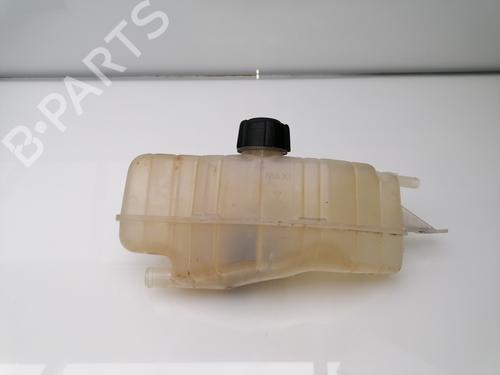 Expansion tank RENAULT CLIO III (BR0/1, CR0/1) 1.5 dCi | BP23383364C120 