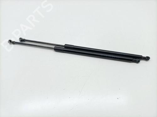Used Tailgate lift support BMW X5 (E53) 3.0 d (218 hp) 25456085