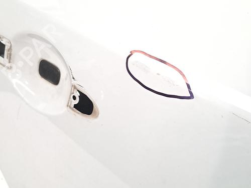 Right rear door RENAULT MEGANE III Hatchback (BZ0/1_, B3_) 1.2 TCe (BZ2B, BZ11) | BP29228784C5 