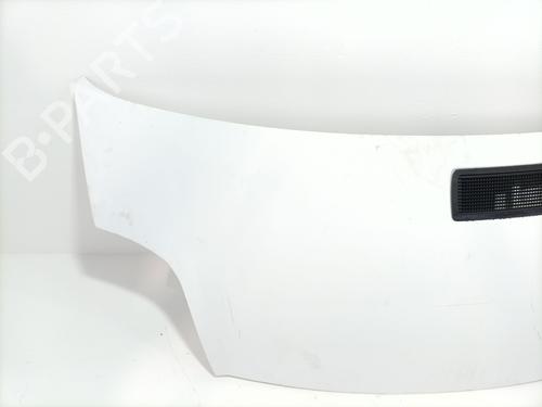 Hood NISSAN PRIMASTAR Van (X83) 1.9 dCi 100 | BP29179274C1 