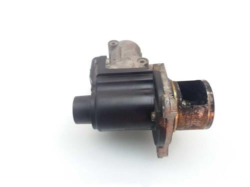Egr SEAT LEON (1P1) 1.9 TDI | BP25346648M69