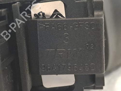 Steering wheel controls PEUGEOT 207 (WA_, WC_) 1.6 16V | BP29024071E15 