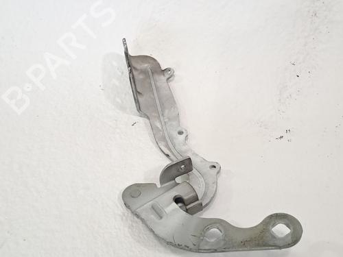 Hinge/Door check strap FORD TRANSIT COURIER B460 Box Body/MPV 1.5 TDCi | BP28958484C146 