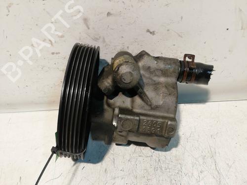 Steering pump RENAULT LAGUNA II (BG0/1_) 1.9 dCi (BG08, BG0G) | BP25465644M99