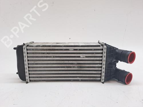 Used Intercooler PEUGEOT 208 I (CA_, CC_) 1.6 HDi (92 hp) 23942851