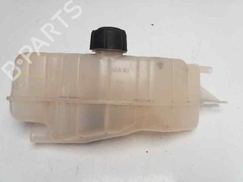 Used Expansion tank RENAULT CLIO III (BR0/1, CR0/1) 1.5 dCi (75 hp) 23418660