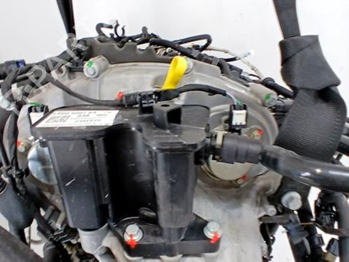 Engine FORD FOCUS IV (HN) 1.0 EcoBoost mHEV | BP29697529M1