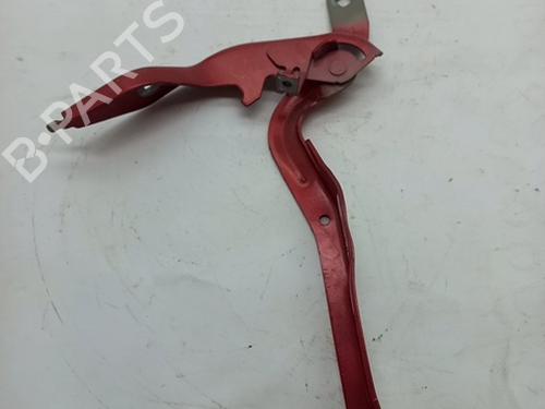 hingedoor-check-strap-citroen-c4-iii-ba_-bb_-bc_-2020-30920945 main image