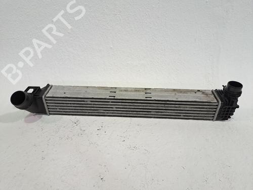 Intercooler RENAULT MEGANE III Hatchback (BZ0/1_, B3_) 1.5 dCi (BZ09, BZ0D, BZ1W, BZ29, BZ14) (110 hp) 27378071