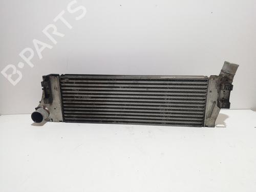Intercooler RENAULT SCÉNIC II (JM0/1_) 1.9 dCi (JM14) | BP26538173M30 