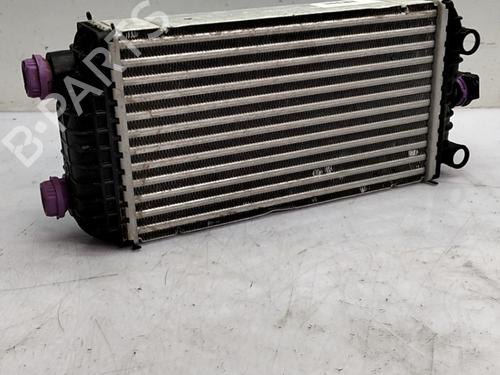 Used Intercooler Intercooler FIAT 600e / 600 (365_, 364_) Mild Hybrid (136 hp) 34153889 34153889