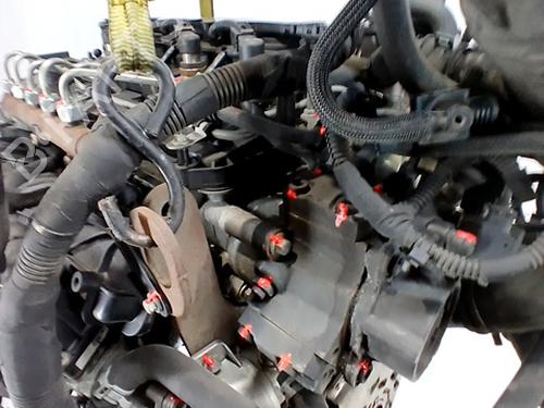 Engine FORD TRANSIT CUSTOM V362 Van (FY, FZ) 2.2 TDCi | BP32383968M1