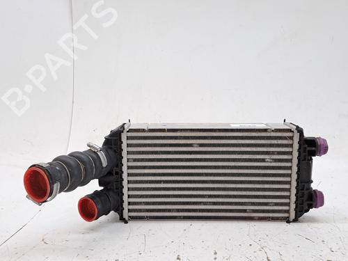 Used Intercooler PEUGEOT 2008 II (UD_, US_, UY_, UJ_, UR_, UC_) 1.2 PureTech 100 (USHNK) (101 hp) 27653302