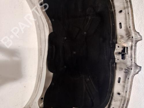 Capot SEAT TOLEDO II (1M2) 1.9 TDI (90 hp) 29745017