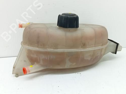 Used Expansion tank NISSAN PRIMASTAR Van (X83) 2.0 dCi 90 (90 hp) 27557343