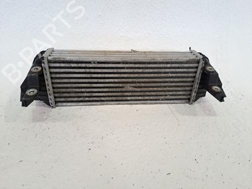 Intercooler FORD TRANSIT CONNECT (P65_, P70_, P80_) 1.8 Di | BP27378059M30 