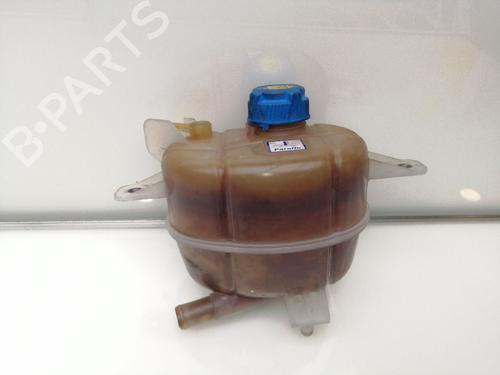 Used Expansion tank FIAT FIORINO Box Body/MPV (225_) 1.3 D Multijet (95 hp) 23419172
