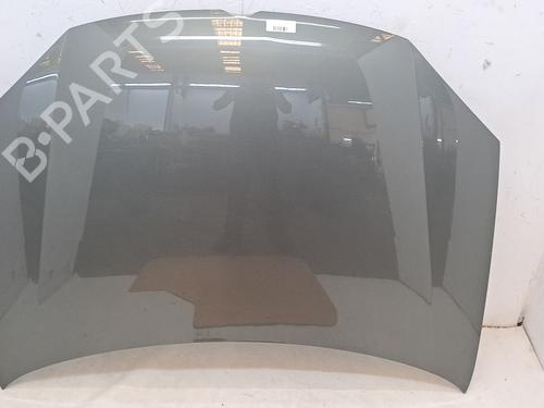 Panser Panser VW GOLF V (1K1) 1.9 TDI (105 hp) 36317250 36317250