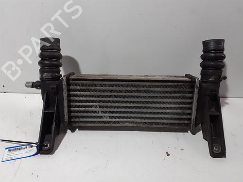 Used Intercooler FORD TRANSIT CONNECT (P65_, P70_, P80_) 1.8 TDCi (90 hp) 26539445