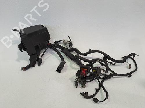 Used Fuse box FORD TRANSIT COURIER B460 MPV 1.5 TDCi (75 hp) 24636423