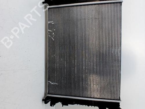 Radiateur à eau DACIA SANDERO III 1.0 TCe 90 (91 hp) 30337539