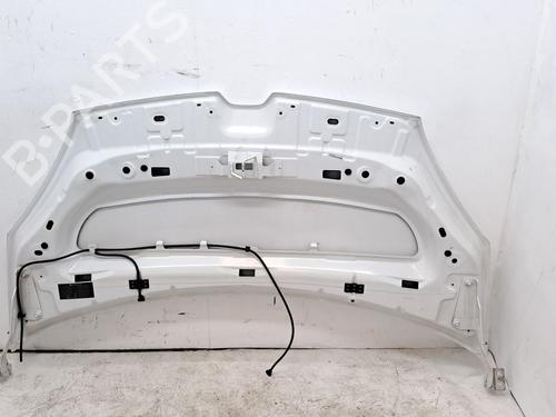 Hood RENAULT KANGOO / GRAND KANGOO II (KW0/1_) 1.5 dCi 90 (KW18) | BP27557169C1