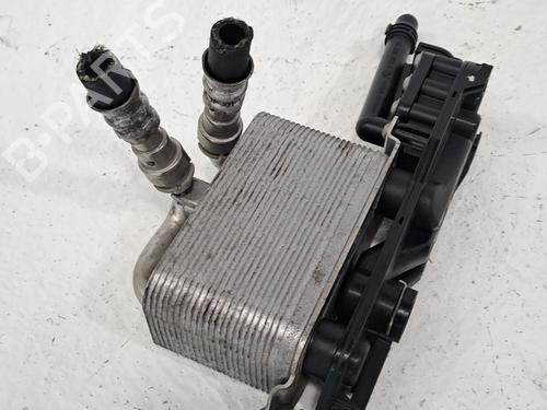 Hinge/Door check strap BMW 5 (E60) 530 i xDrive | BP25999490C146 