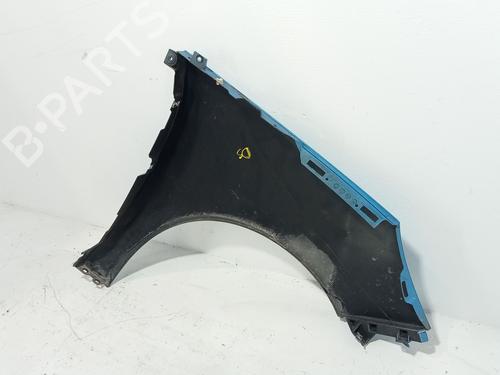 Left front fenders RENAULT MEGANE III Grandtour (KZ0/1) 1.5 dCi (KZ09, KZ0D, KZ1G, KZ29, KZ14, KZ1W, KZ10, KZ1F,... | BP29420922C41 