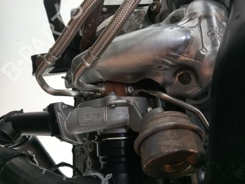Engine FORD FOCUS IV (HN) 1.5 EcoBoost | BP23365033M1 