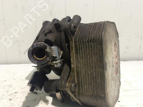 Oliekøler CITROËN JUMPER II Van 2.2 HDi 100 | BP25460615M33 