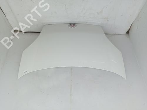 Used Hood FIAT FIORINO Box Body/MPV (225_) 1.3 D Multijet (80 hp) 23357712