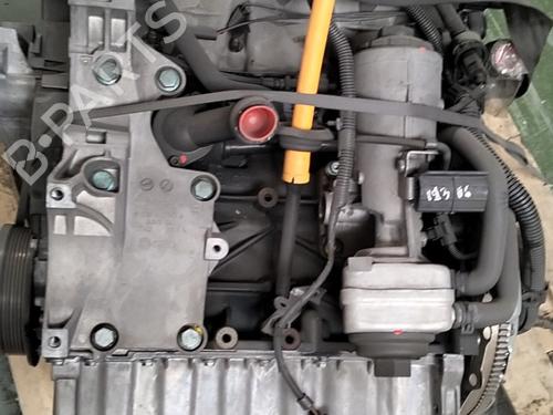 Engine VW GOLF V (1K1) 1.9 TDI | BP29051623M1 - Image 4