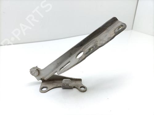 Hinge/Door check strap NISSAN TERRANO II (R20) 2.7 TDi 4WD | BP29228076C146 
