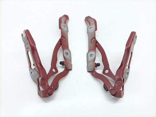Hinge/Door check strap BMW 3 (E90) 320 d | BP29228078C146 
