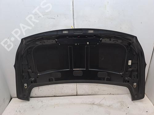 Tailgate PEUGEOT 207 CC (WD_) 1.6 16V | BP23376575C6 