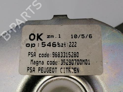 Tailgate lift support PEUGEOT 3008 I MPV (0U_) 2.0 HDi 150 / BlueHDi 150 | BP23405096C138 