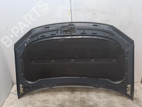 Hood VW TOURAN (1T1, 1T2) 2.0 TDI 16V | BP23370842C1
