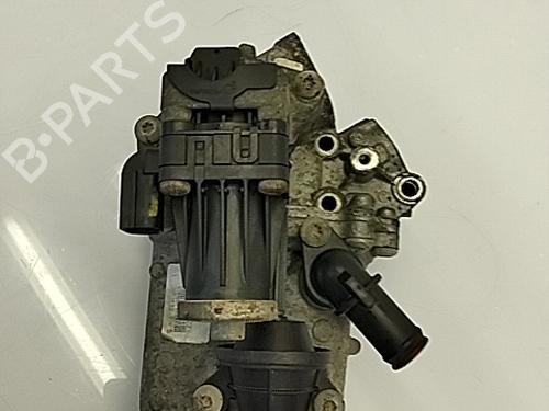 Egr OPEL CORSA D (S07) 1.3 CDTI (L08, L68) | BP29303175M69 