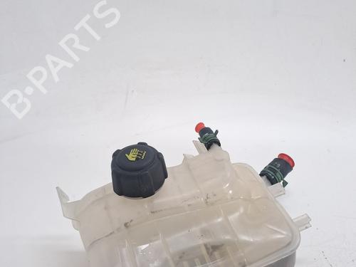 Used Expansion tank RENAULT MEGANE III Hatchback (BZ0/1_, B3_) 1.5 dCi (BZ09, BZ0D, BZ1W, BZ29, BZ14) (110 hp) 27461917