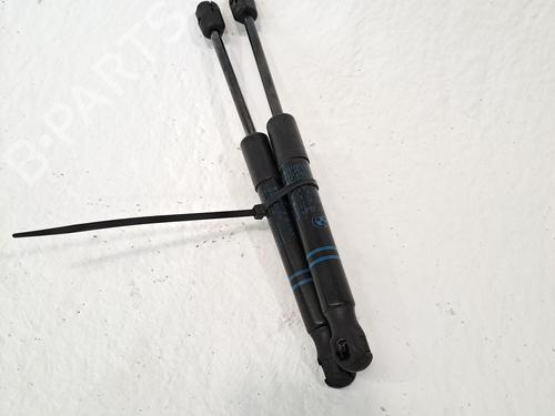 Hood lift support BMW 1 (F20) 116 d | BP26381860C139 