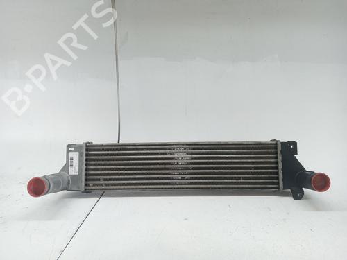 Used Intercooler LAND ROVER FREELANDER I (L314) 2.0 Td4 4x4 (112 hp) 23977702