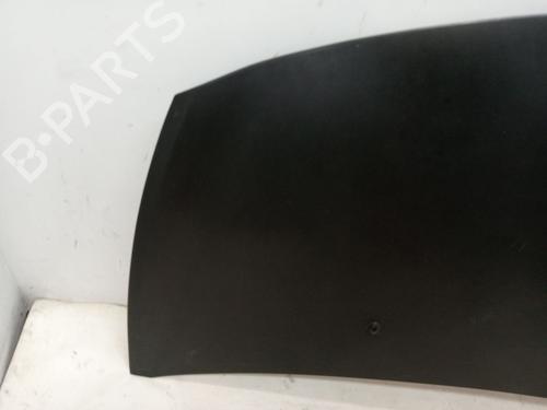 Hood RENAULT CLIO III (BR0/1, CR0/1) 1.5 dCi (BR17, CR17) | BP23357523C1 