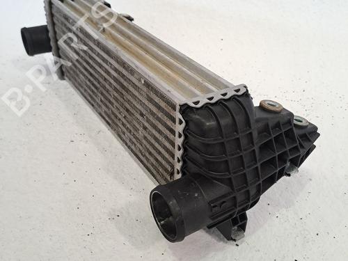 Intercooler FORD TRANSIT CONNECT (P65_, P70_, P80_) 1.8 Di | BP27378059M30 