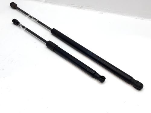 tailgate-lift-support-renault-scenic-ii-jm01_-2003-2004-2005-2006-2007-2008-2009-2010-32106835 main image