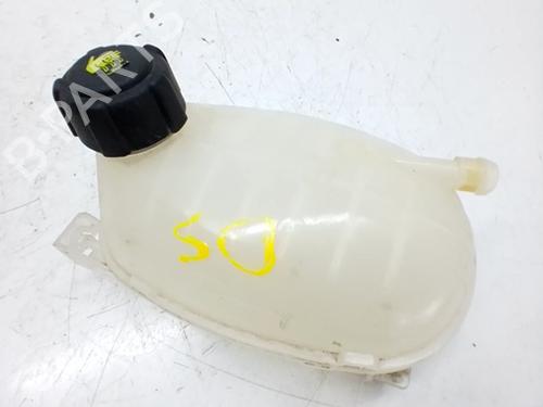 Used Expansion tank DACIA SANDERO III 1.0 TCe 90 (91 hp) 31144154