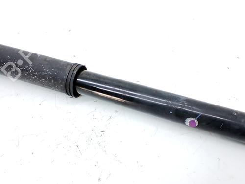 Amortecedor trás direito MG MG ZS SUV (AZS1) 1.5 VTi (106 hp) 31801889